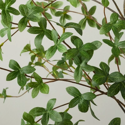 55" Faux Gypsophila Leaf Tree - Hearth & Hand™ With Magnolia 2 55" Faux Gypsophila Leaf Tree - Hearth & Hand™ With Magnolia - Image 2