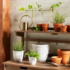 New Release 3 9pc Steel & Glass Plant Propagation Set Gold/Clear - Hearth & Hand™ With Magnolia